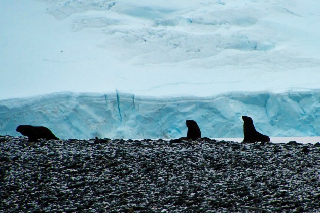 ANTARCTICA-BRAZIL-NAVY-ARGENTINA