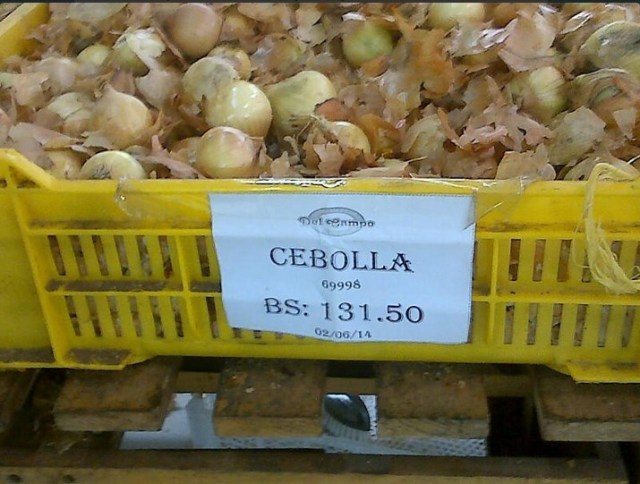 cebolla