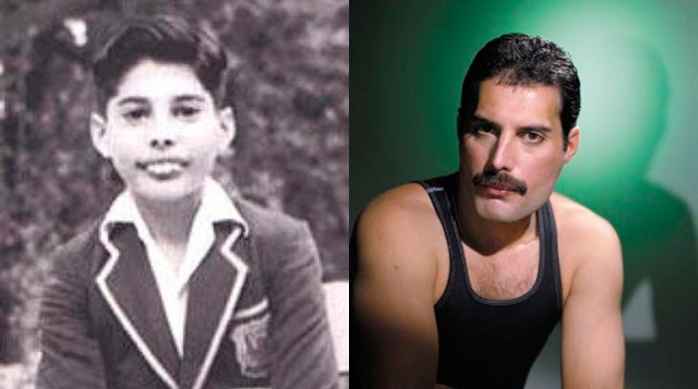 Freddie-Mercury