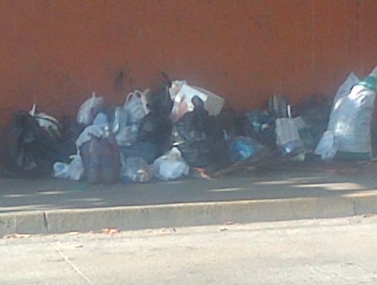 BASURA 2