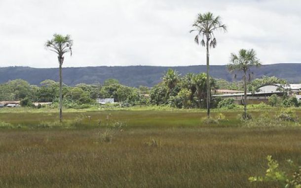 Las ciudadanas brasileñas contrataron a Tovar en Santa Elena de Uairén