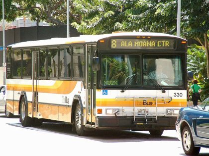 Autobuses Viejos En Refugios  1