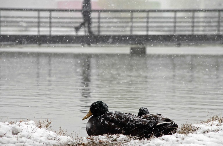 Así está la nevada en Ciudad Juárez (fotos)