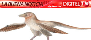 Hallan un nuevo dinosaurio con alas