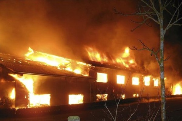 Mueren 86 camellos al incendiarse una granja alemana