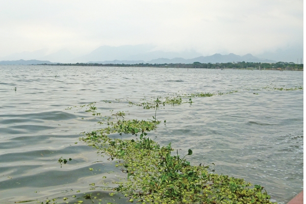 Habitantes del Lago de Valencia continúan afectados por las lluvias