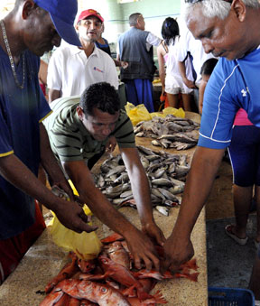 Pescado y verduras son opciones de ahorro en alimentación