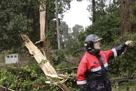 Temporal en España deja tres personas muertas