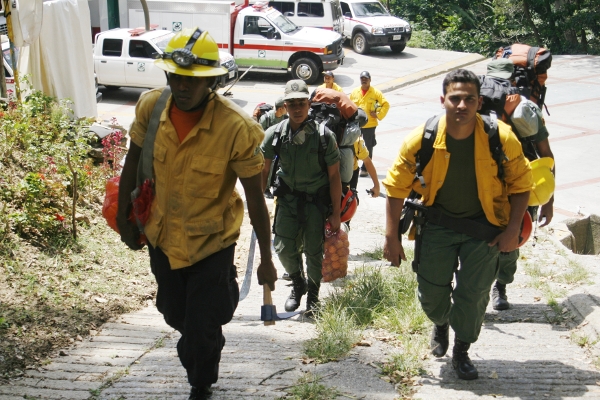 Bomberos forestales estarán alerta en parques del país durante Carnaval