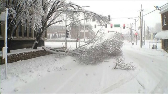 Fuertes nevadas en EEUU (Video)