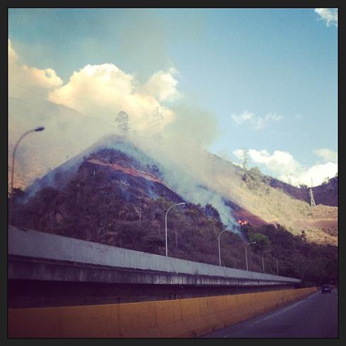 Leones del Caracas aumentarán precio de entradas