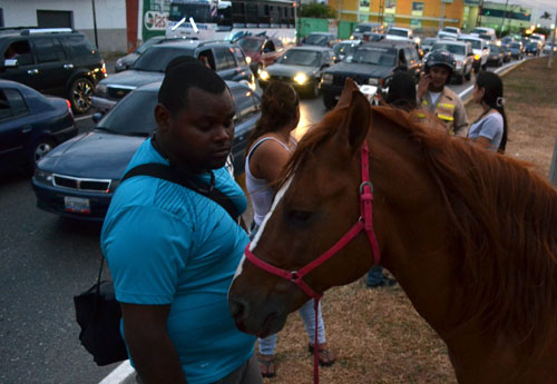 Hombre murió atropellado mientras cabalgaba un caballo en Valencia