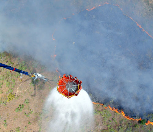 En cuatro días fueron devastadas 700 hectáreas del parque nacional Henri Pittier