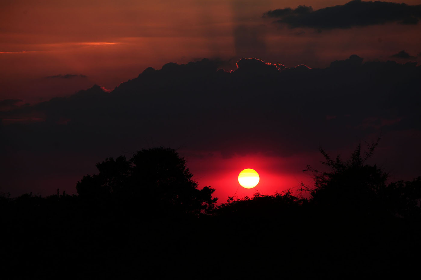 Atardecer en Elorza (Fotos)