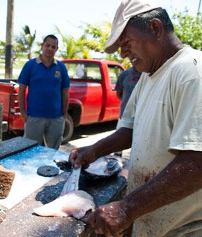 Aumenta costo del pescado en Nueva Esparta