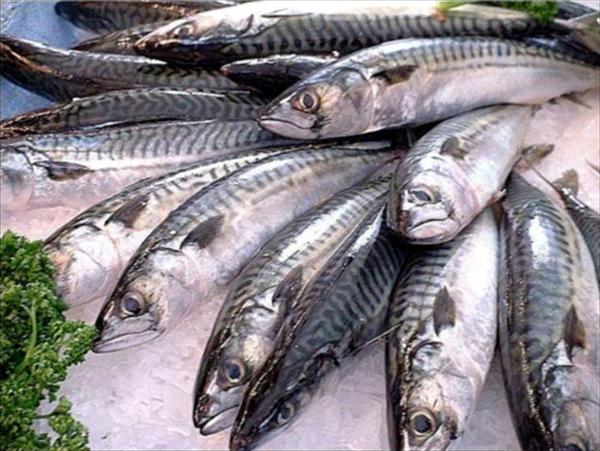 El pescado subió entre 25% y 97% en ferias socialistas