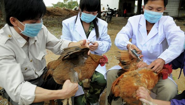 H7N9 muestra resistencia contra antivirales