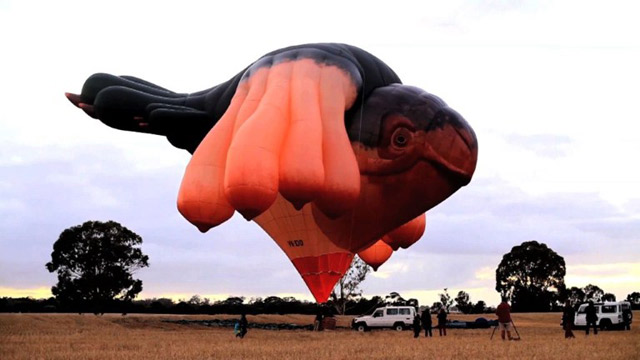 Un globo, arte o adefesio (Video)