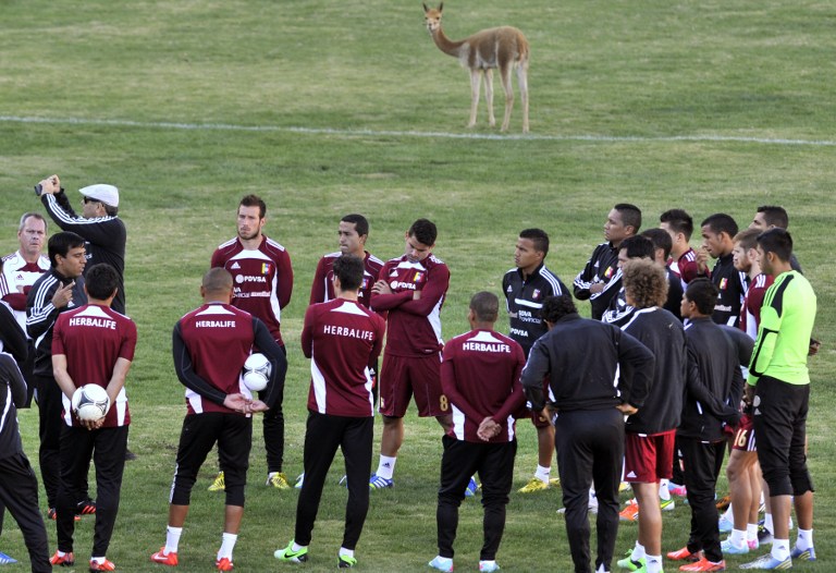 La Vinotinto “no regalará nada” a Chile y Perú en su camino a Brasil-2014