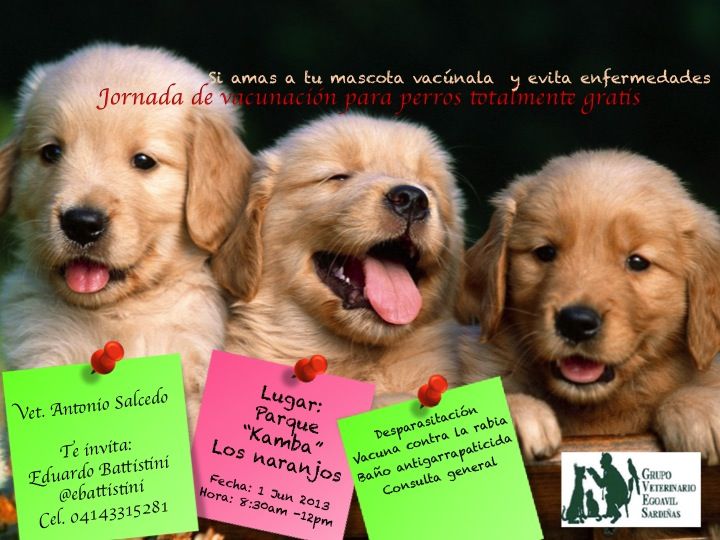 Jornada de atención Veterinaria Gratuita en El Hatillo