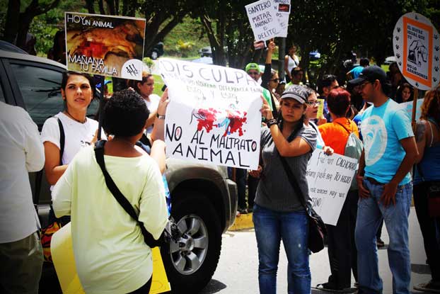 Vecinos protestaron por el asesinato de perrito en el Refugio de Animales (Fotos)