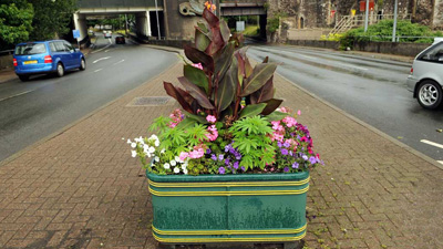 Bromista siembra plantas de cannabis en las calles de Gales