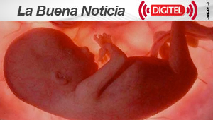 Campaña para proteger embriones humanos supera 1 millón de apoyos