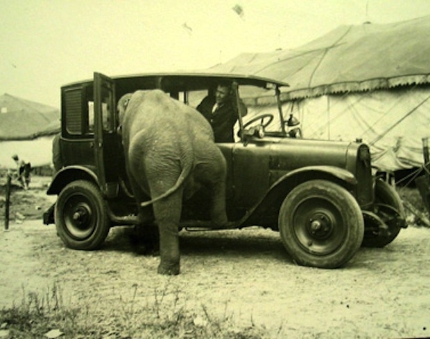 Las fotos muestran que el mundo ha cambiado