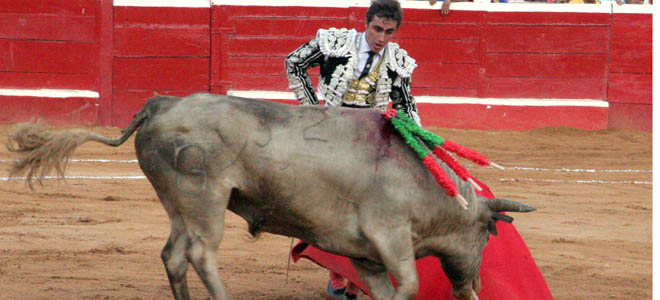 Solicitan prohibir acceso de niños en las corridas de toros