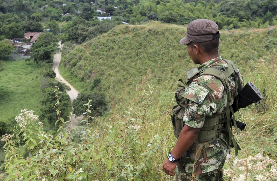 Las Farc agradecen a personalidades y organizaciones apoyo a su tregua unilateral