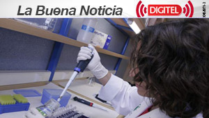 La investigación con células madre avanza hacia la creación de órganos