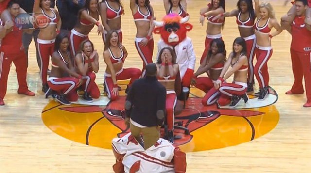 Se disfraza de mascota de los Bulls para pedirle matrimonio a su novia (Video)