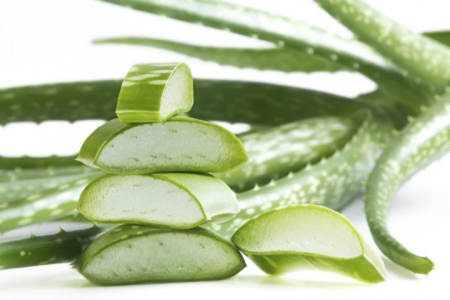 Beneficios del aloe vera para tratar el acné