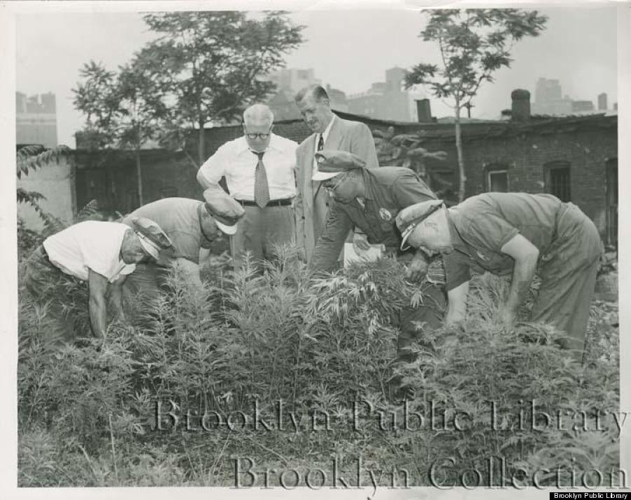 En fotos: Los tiempos dorados de la marihuana en Brooklyn