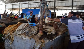 Costos del pescado complican elaboración del típico cuajao