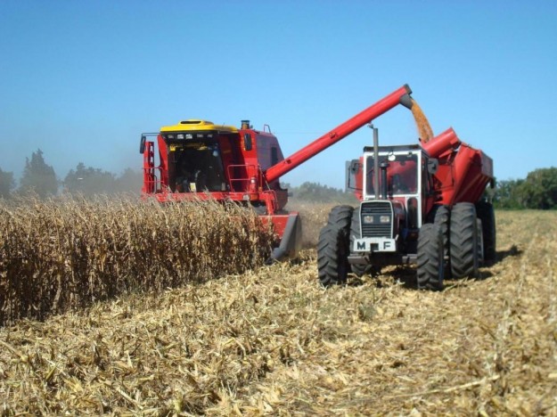 Creada la Comisión Presidencial Agroalimentaria