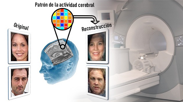 Científicos desarrollan un nuevo método para leer la mente