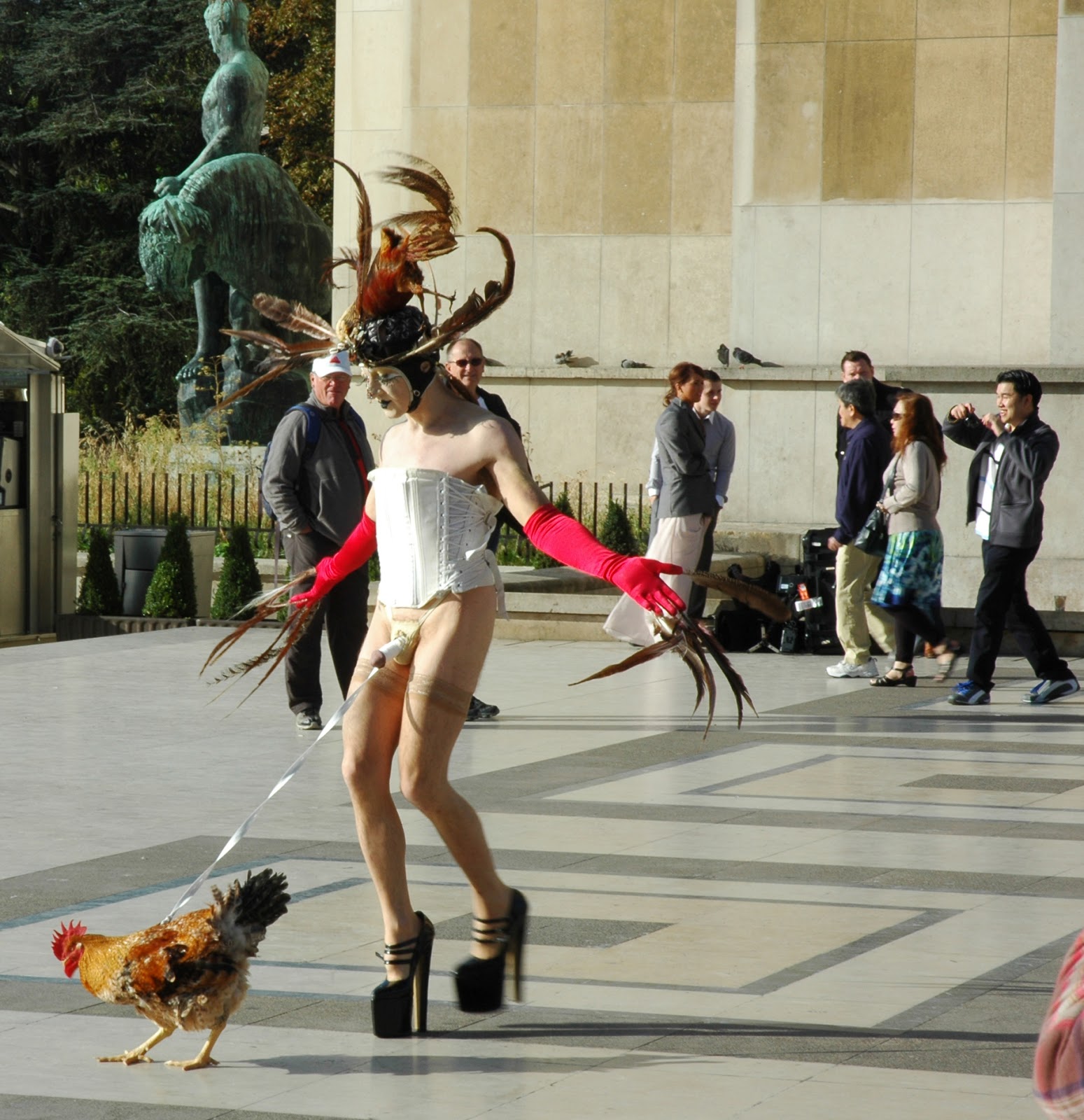 Artista sudafricano se exhibe con un gallo atado al pene (Foto)