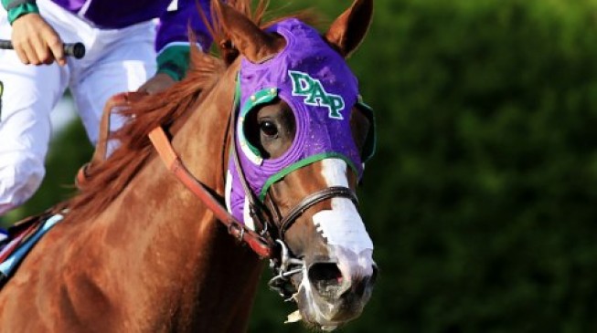 California Chrome listo para el Belmont Stakes