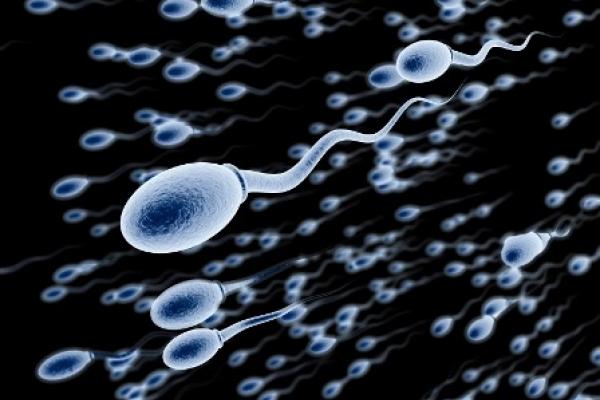 Estiman que el Covid-19 reduce la calidad de semen en los hombres