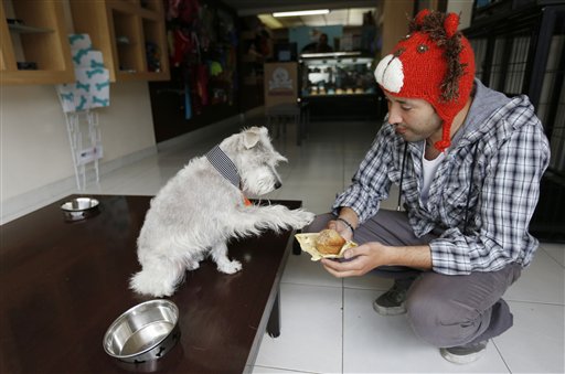 Podrás disfrutar de ésta exclusiva panadería para perros con sólo cruzar la frontera