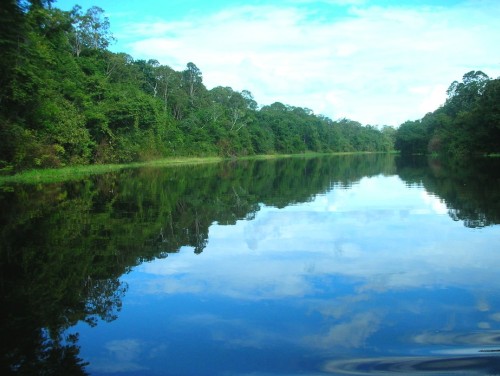 Culmina en Colombia rodaje de film sobre científicos en la Amazonía