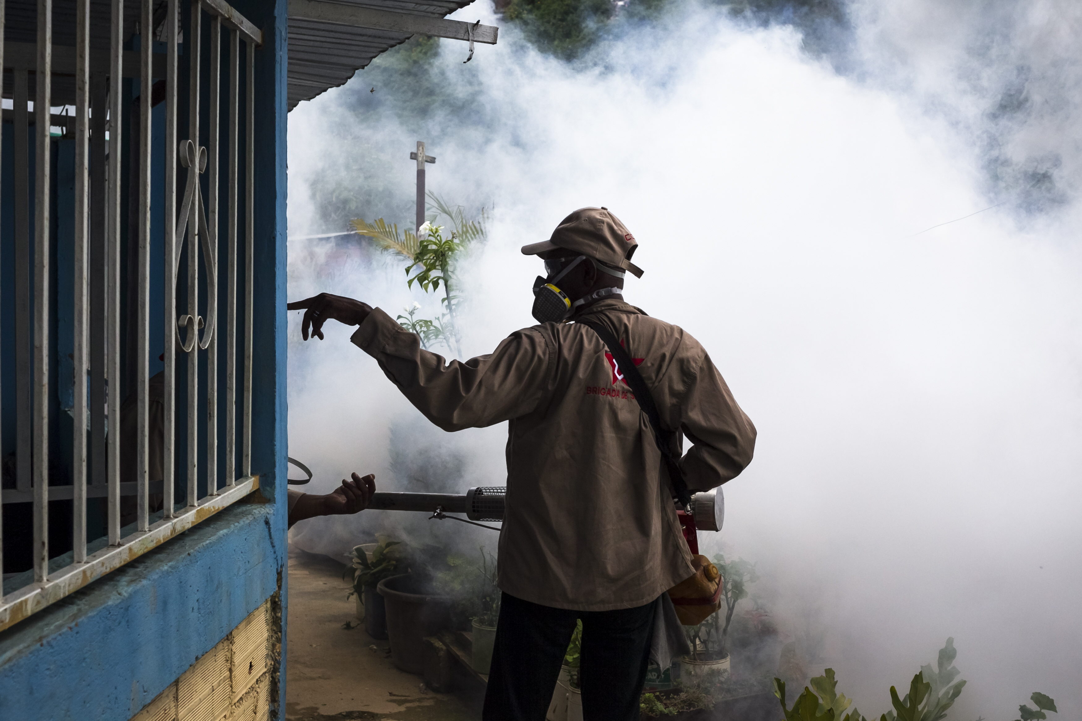 Declaran al Chikungunya evento de notificación obligatoria