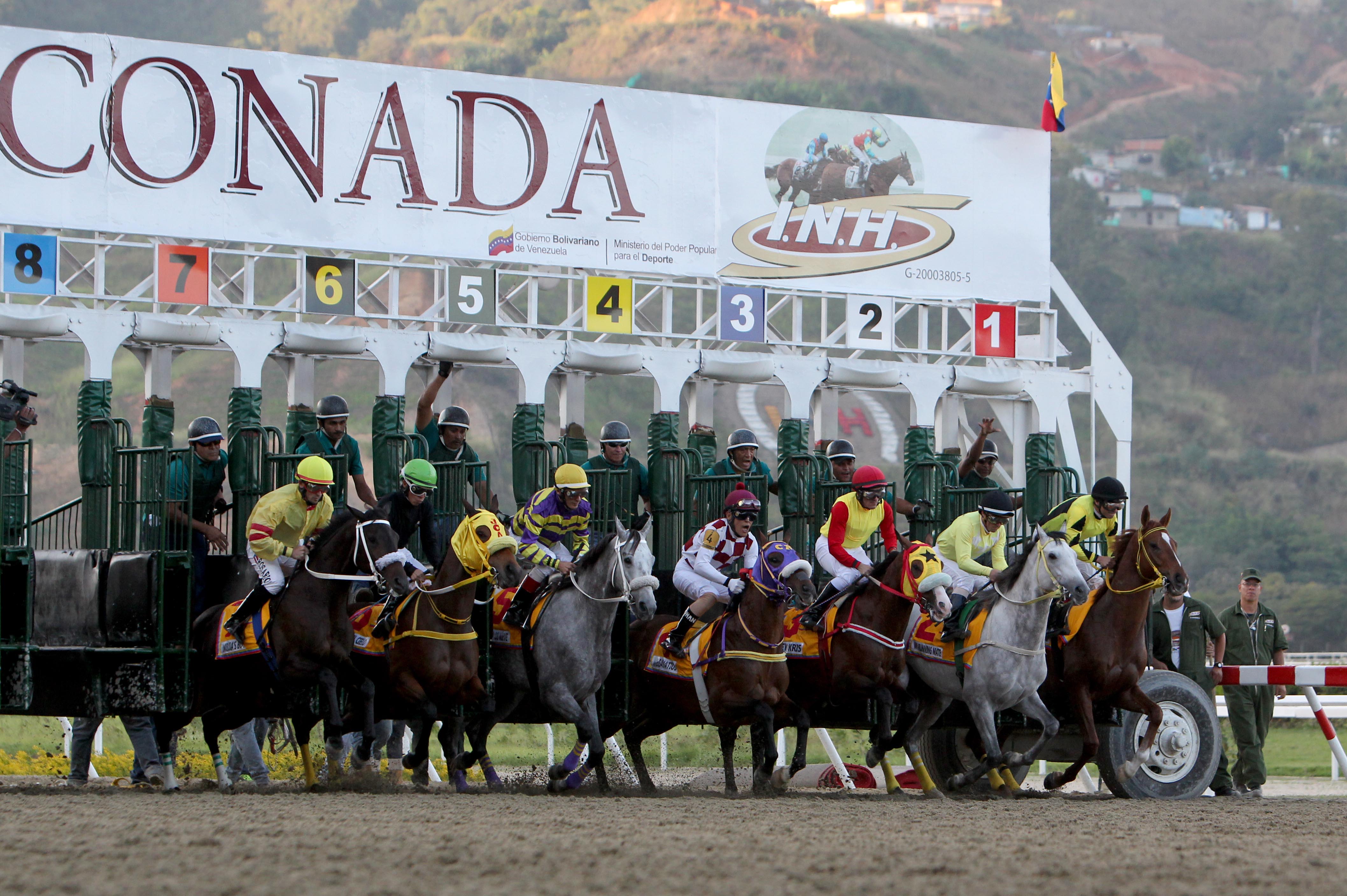 INH ya le puso fecha a la reanudación del hipismo en La Rinconada