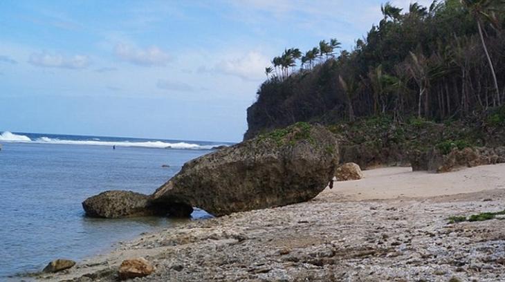 Las curiosas rocas que forman una enorme ballena (Foto)