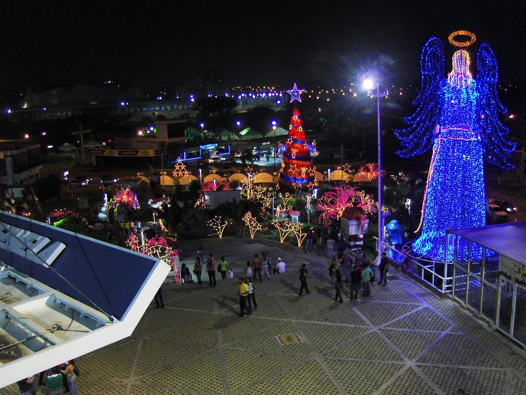 Fiesta de luces en Lyon (Video)