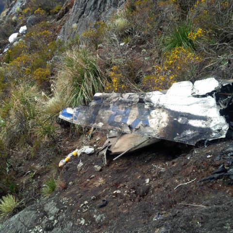 Localizan 89 panelas de cocaína en avioneta siniestrada en Mérida (Fotos)