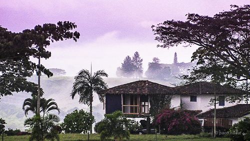 Paisajes colombianos con aroma a café