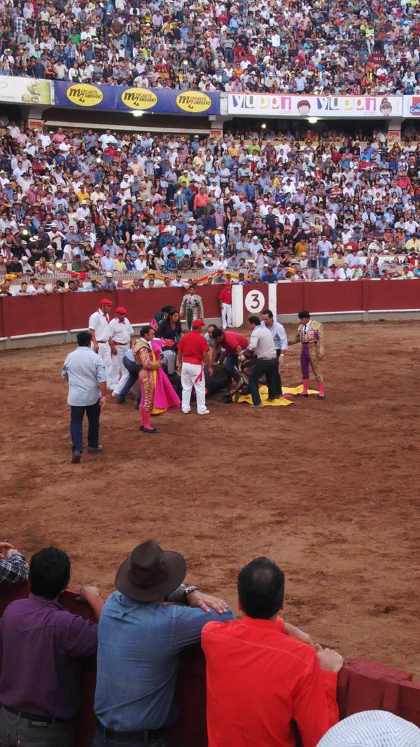 Un caballo muere de infarto en corrida de Feria de San Sebastián (Video)