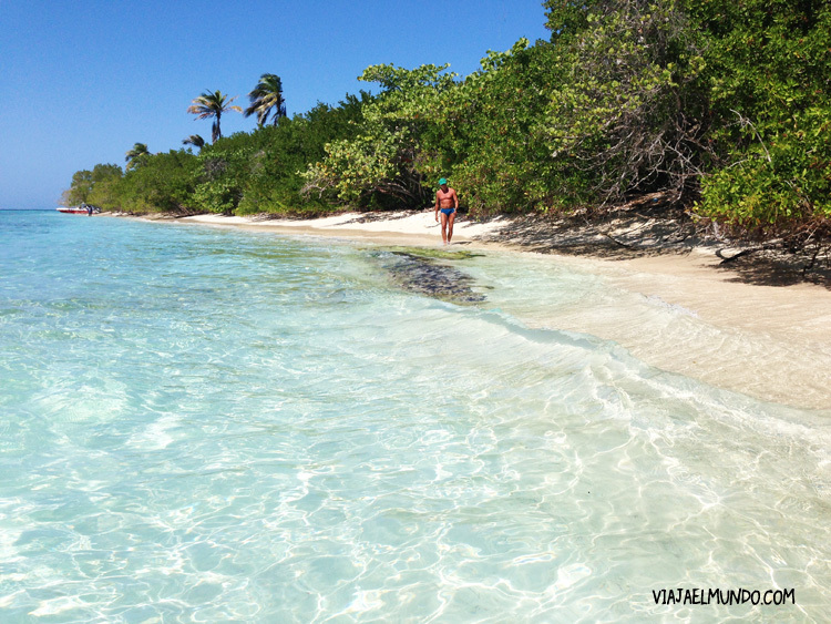 Bajo las aguas de Morrocoy